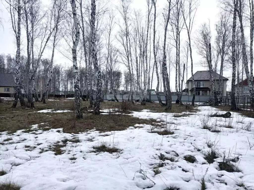 Участок в Курганская область, Кетовский муниципальный округ, село ... - Фото 0