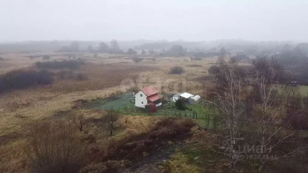 Участок в Калининградская область, Гурьевский муниципальный округ, ... - Фото 1