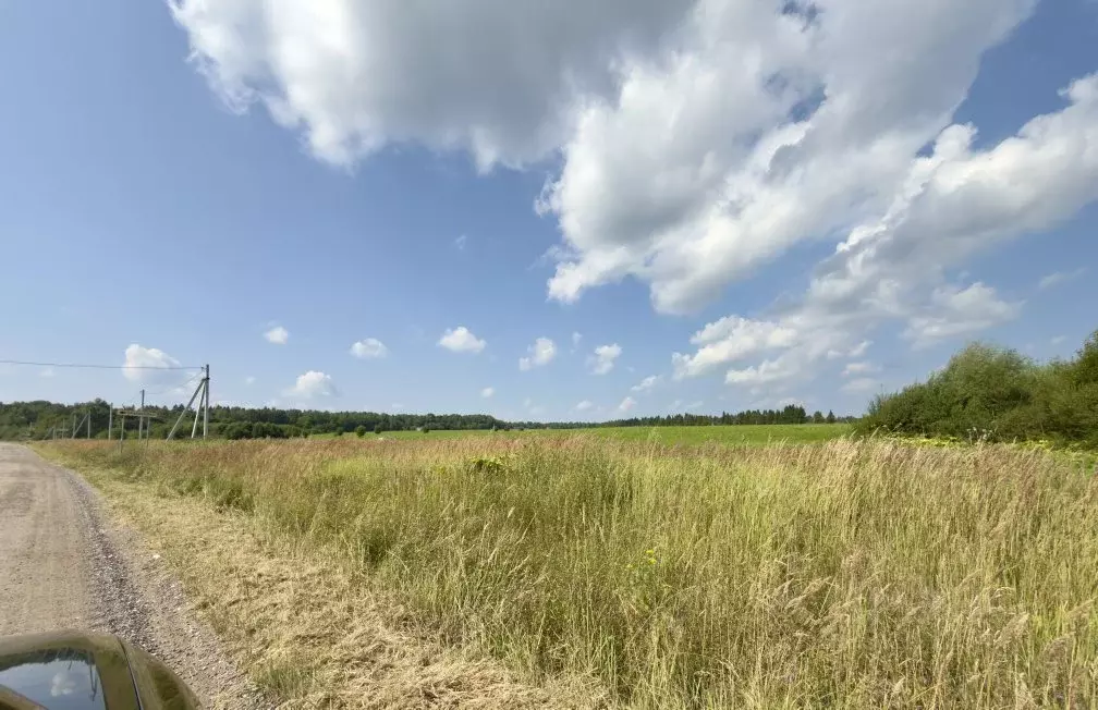 Участок в Московская область, Наро-Фоминский городской округ, с. ... - Фото 2