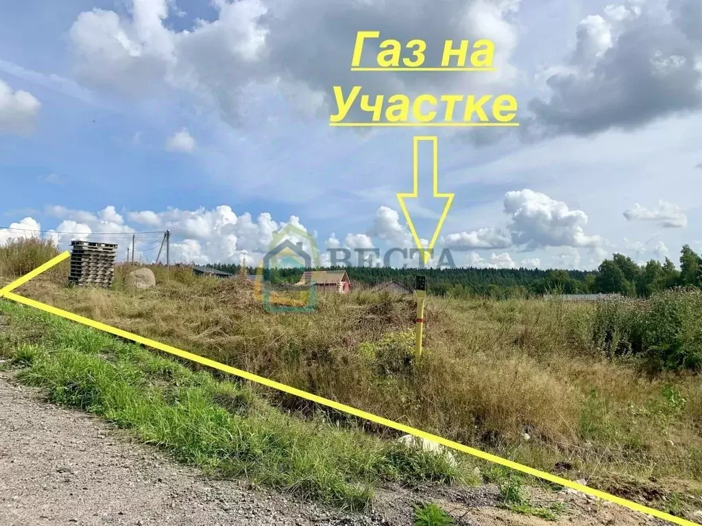 Участок в Ленинградская область, Приозерский район, Красноозерное ... - Фото 2
