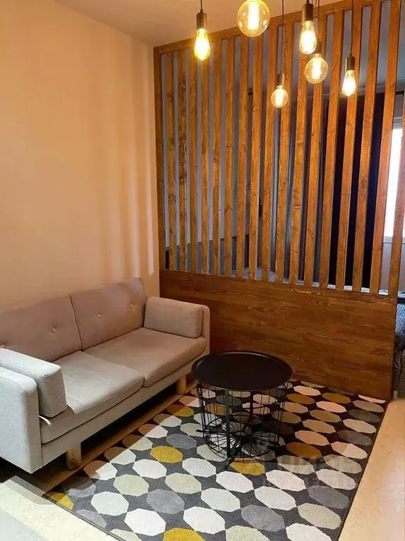 1-к кв. Московская область, Солнечногорск городской округ, Голубое пгт ... - Фото 2