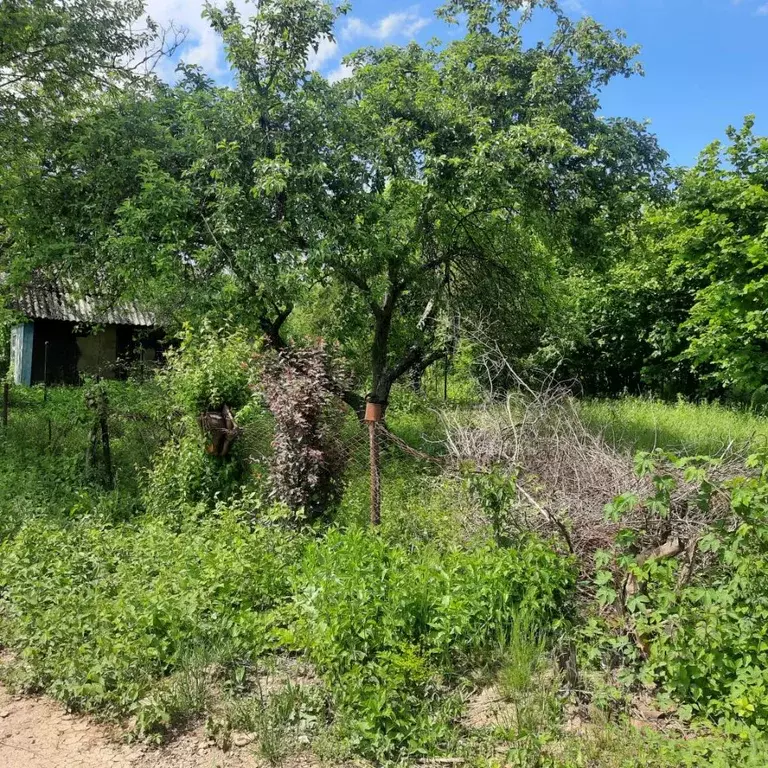 Участок в Краснодарский край, Туапсинский муниципальный округ, с. ... - Фото 1