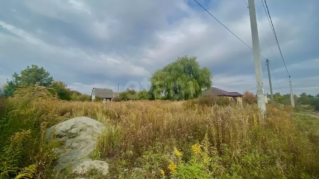 Участок в Брянская область, Брянский район, Снежское с/пос, пос. ... - Фото 2