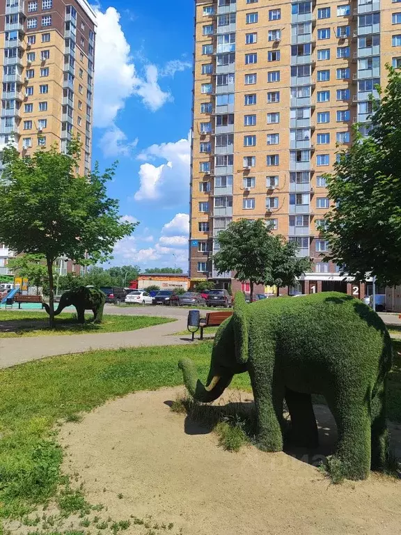 1-к кв. Московская область, Люберцы Зенино ЖК Самолет мкр, ул. ... - Фото 2