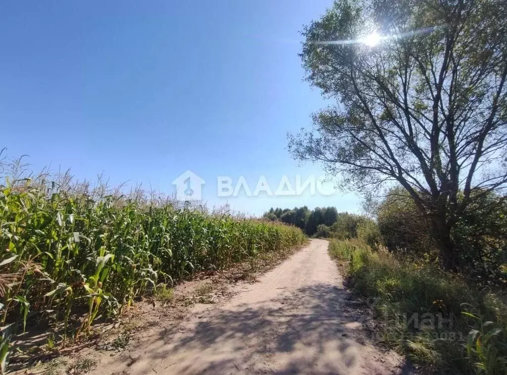Участок в Владимирская область, Судогодский район, пос. Муромцево ... - Фото 1