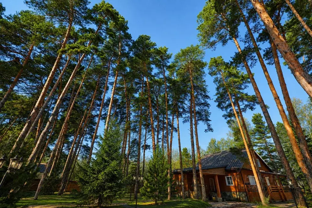 Дом в Челябинская область, Еткульский муниципальный округ, д. ... - Фото 1