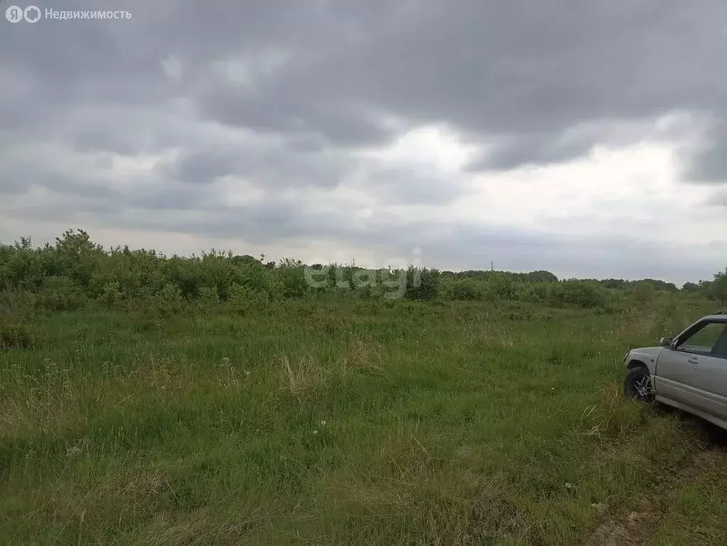 Участок в Хабаровский район, село Чистополье (10 м) - Фото 1