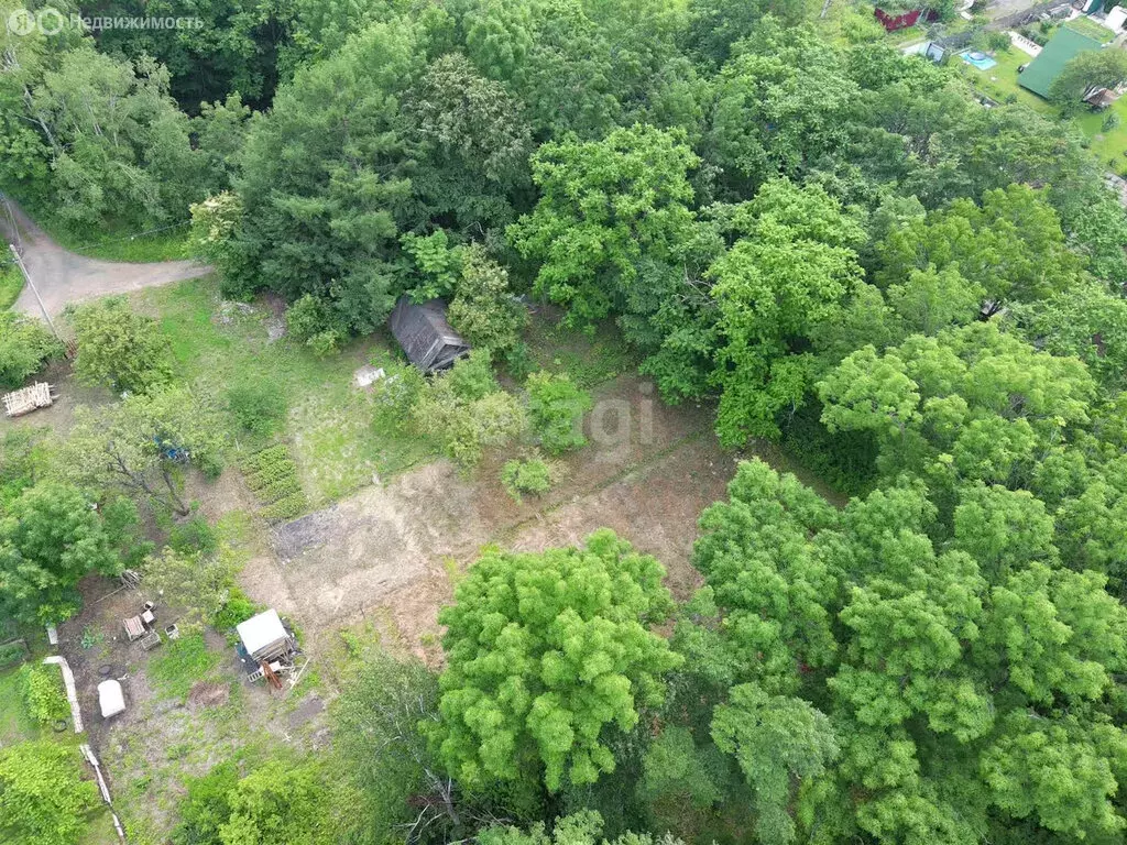 Участок в Хабаровский район, садоводческое некоммерческое товарищество ... - Фото 1