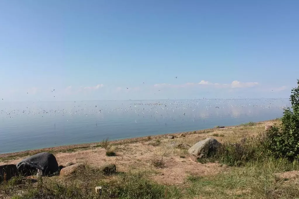 Участок в Псковская область, Гдовский район, Юшкинская волость, д. ... - Фото 0