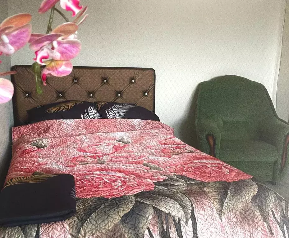 1-к кв. Челябинская область, Куса г. Кусинское городское поселение, ... - Фото 0