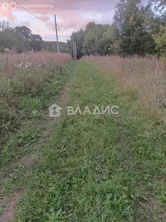 Участок в село Новоалександрово, Владимирская улица (5.5 м) - Фото 1