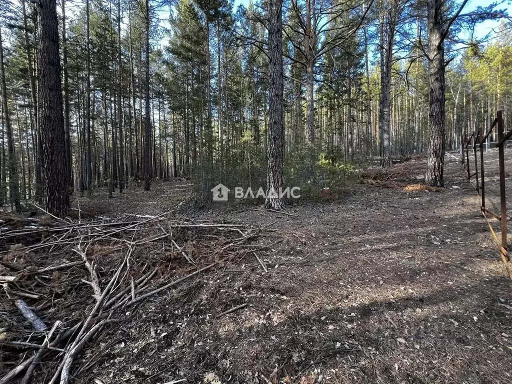 Участок в Бурятия, Улан-Удэ Челночок СНТ, 17 (7.6 сот.) - Фото 1