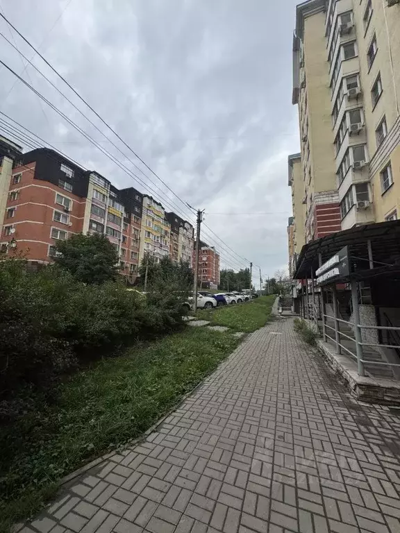 Помещение свободного назначения в Липецкая область, Липецк ул. Фрунзе, ... - Фото 0