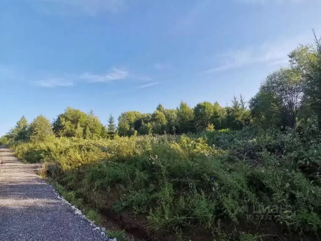 Участок в Пермский край, Пермский муниципальный округ, д. Малая ... - Фото 2