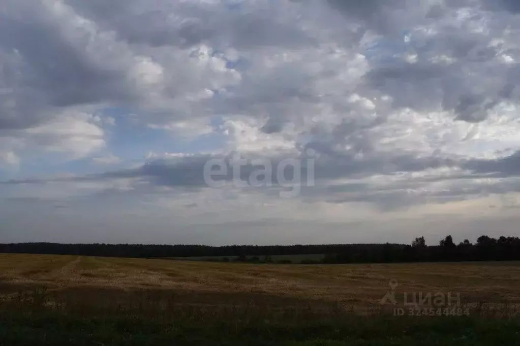 Участок в Калужская область, Дзержинский муниципальный округ, Жилетово ... - Фото 2