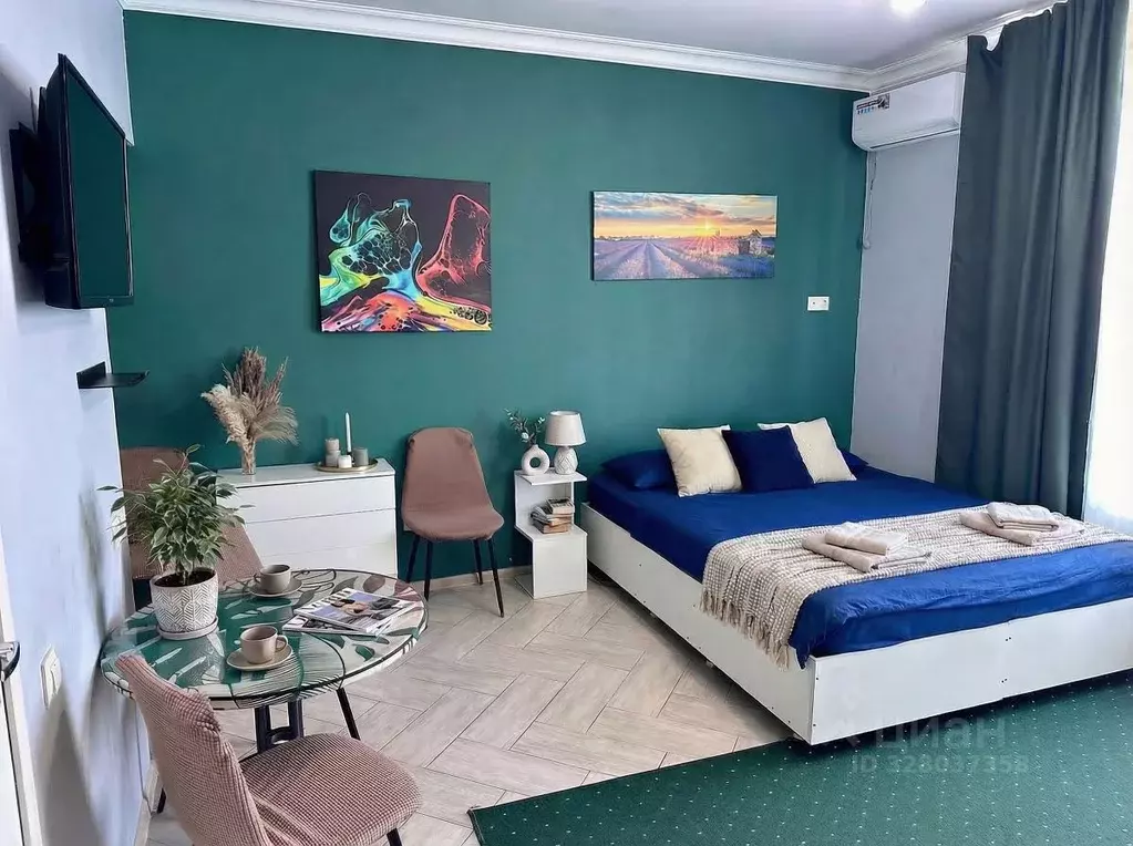 Студия Краснодарский край, Сочи ул. Просвещения, 153/3 (26.0 м) - Фото 1