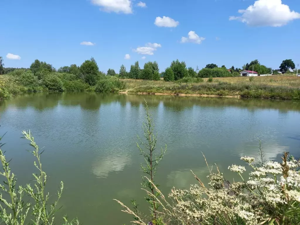 Участок в Московская область, Клин городской округ, д. Борозда  (8.0 ... - Фото 1