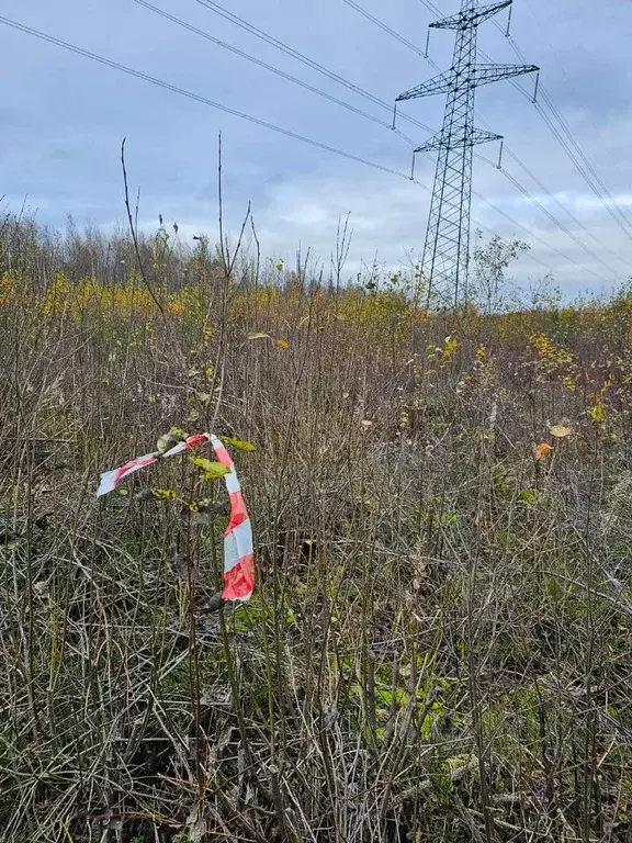 Участок в Новгородская область, Окуловский район, Березовикское с/пос  ... - Фото 2