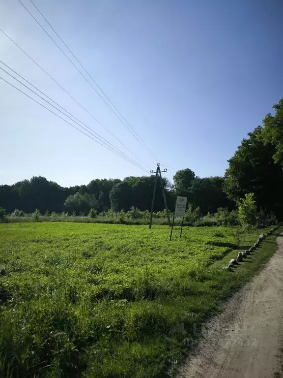 Участок в Калининградская область, Гурьевский муниципальный округ, ... - Фото 2