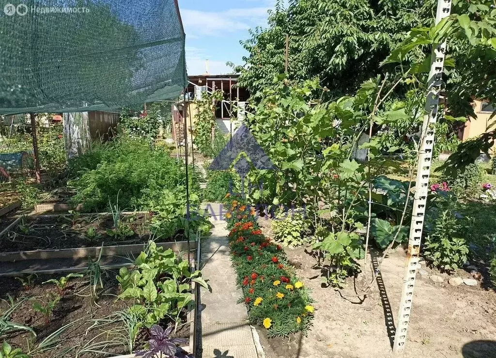 Дом в станица Романовская, улица Ленина (38.4 м) - Фото 1