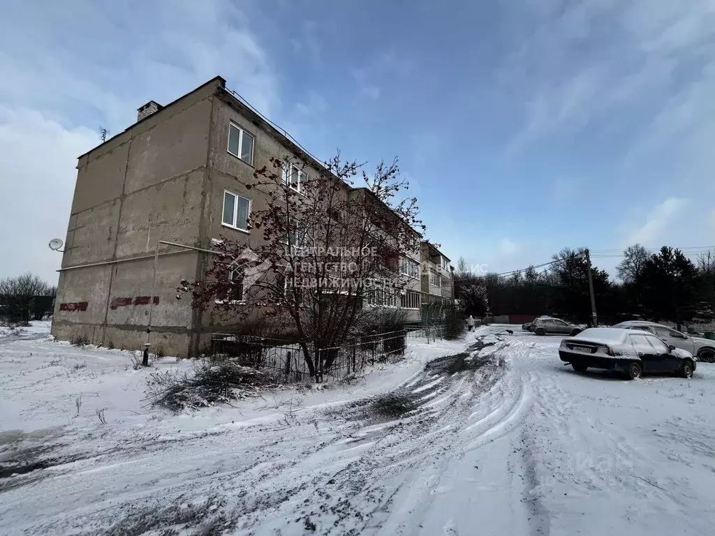 2-к кв. Рязанская область, Спасский муниципальный округ, с. Дубовичье ... - Фото 1