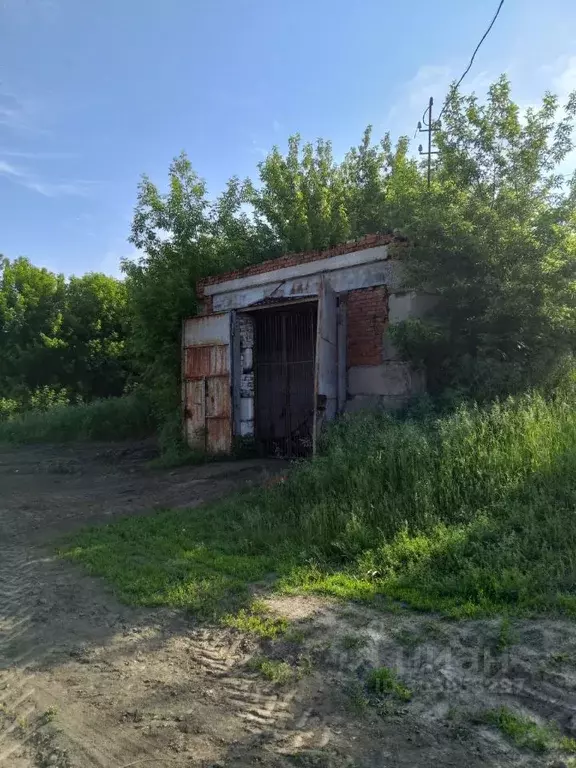 Склад в Алтайский край, Первомайский район, с. Березовка ул. Мичурина, ... - Фото 0