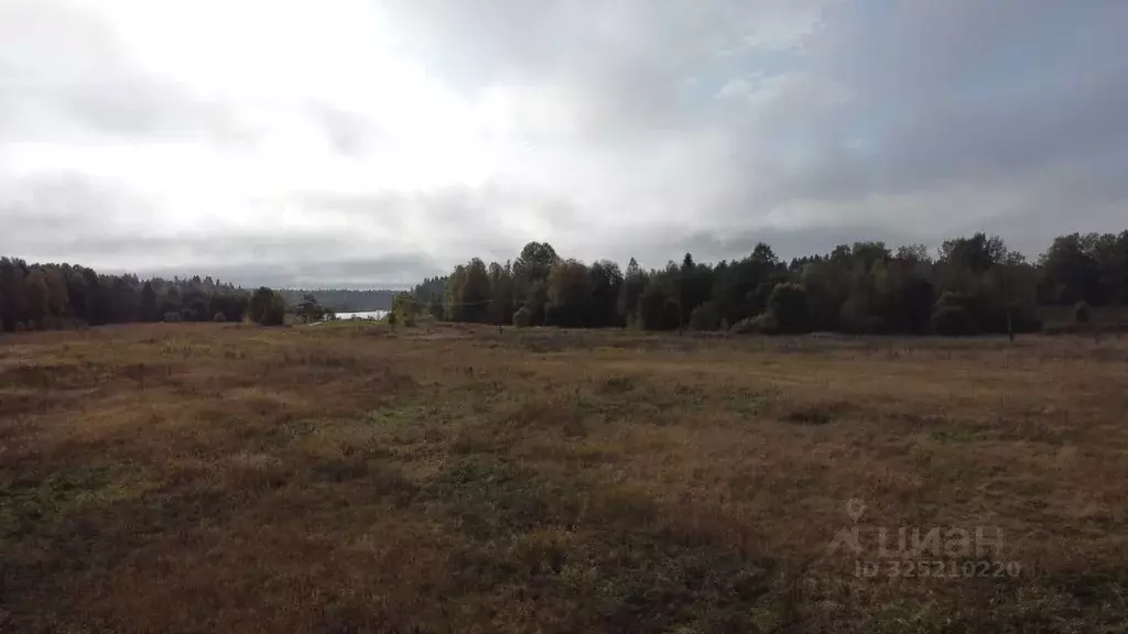 Участок в Карелия, Питкярантский муниципальный округ, д. Алатту  ... - Фото 2