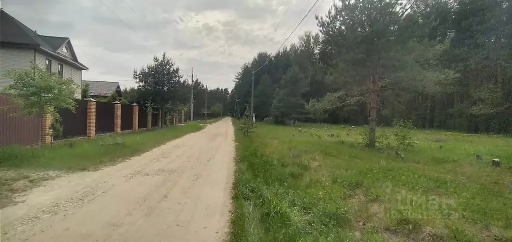 Участок в Владимирская область, Киржачский район, Филипповское ... - Фото 1
