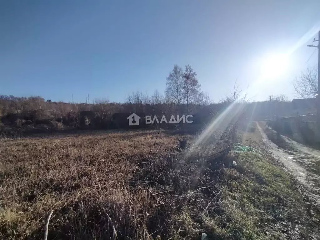 Участок в Воронежская область, Семилукский район, с. Латное ... - Фото 2