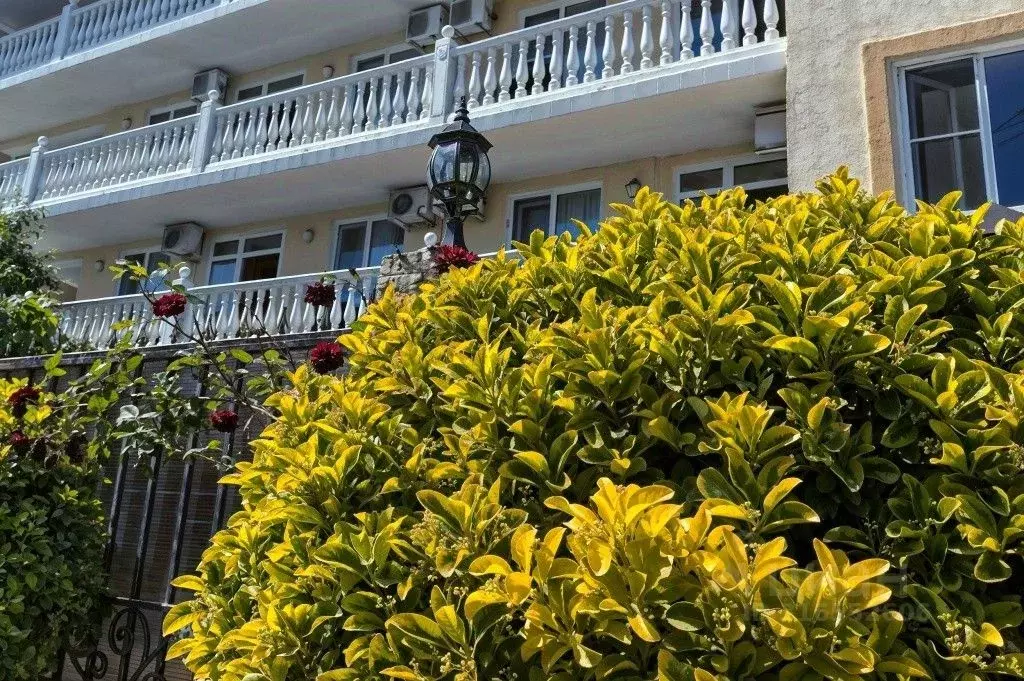 Комната Краснодарский край, Сочи ул. Ленина, 256/3 (10.0 м) - Фото 1