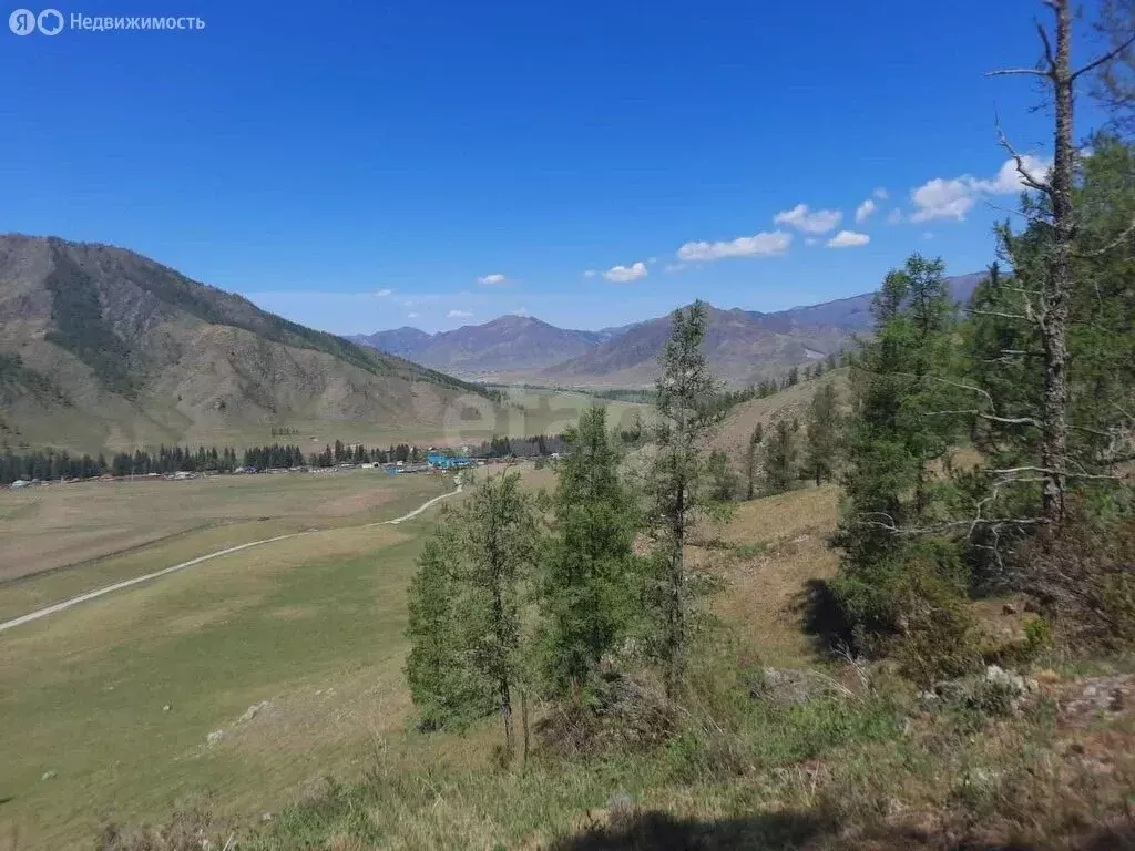 Участок в Онгудайский район, село Хабаровка (100 м) - Фото 1