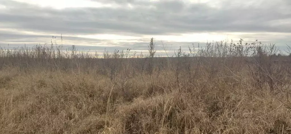 Участок в Московская область, Талдомский городской округ, д. Григорово ... - Фото 1