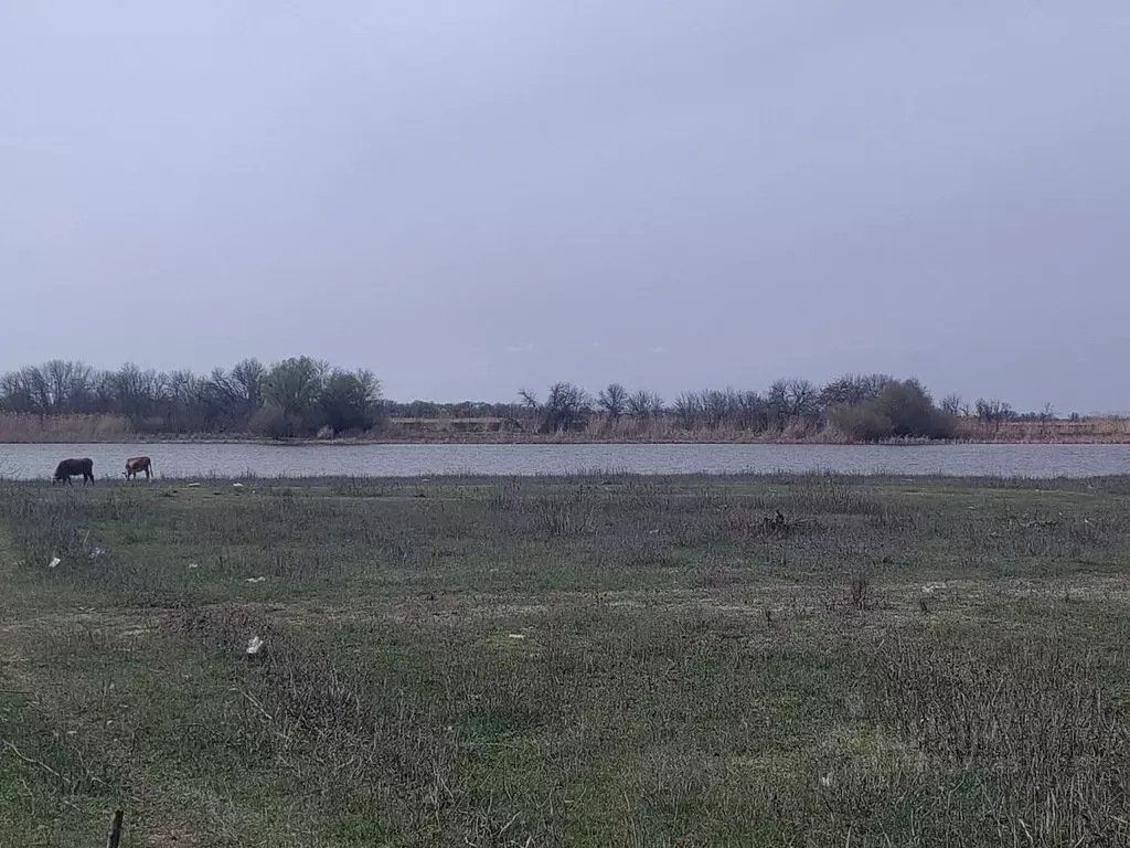 Участок в Астраханская область, Камызякский район, с. Жан-Аул ... - Фото 1