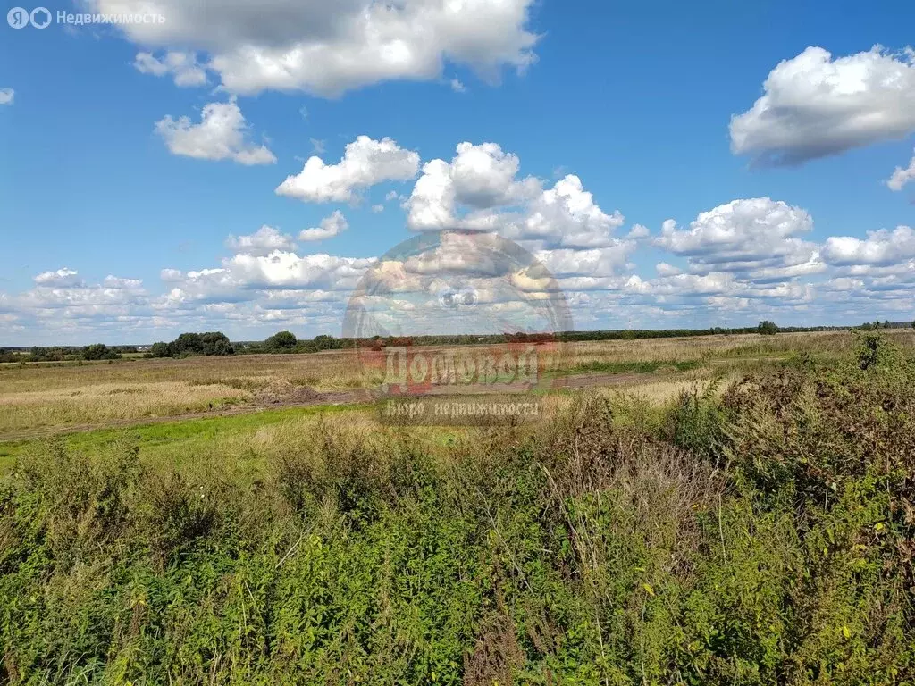 Участок в Раменский городской округ, село Ульянино (9.75 м) - Фото 1