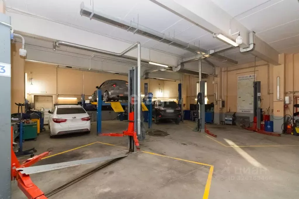 Помещение свободного назначения в Тюменская область, Тюмень ул. 30 лет ... - Фото 1