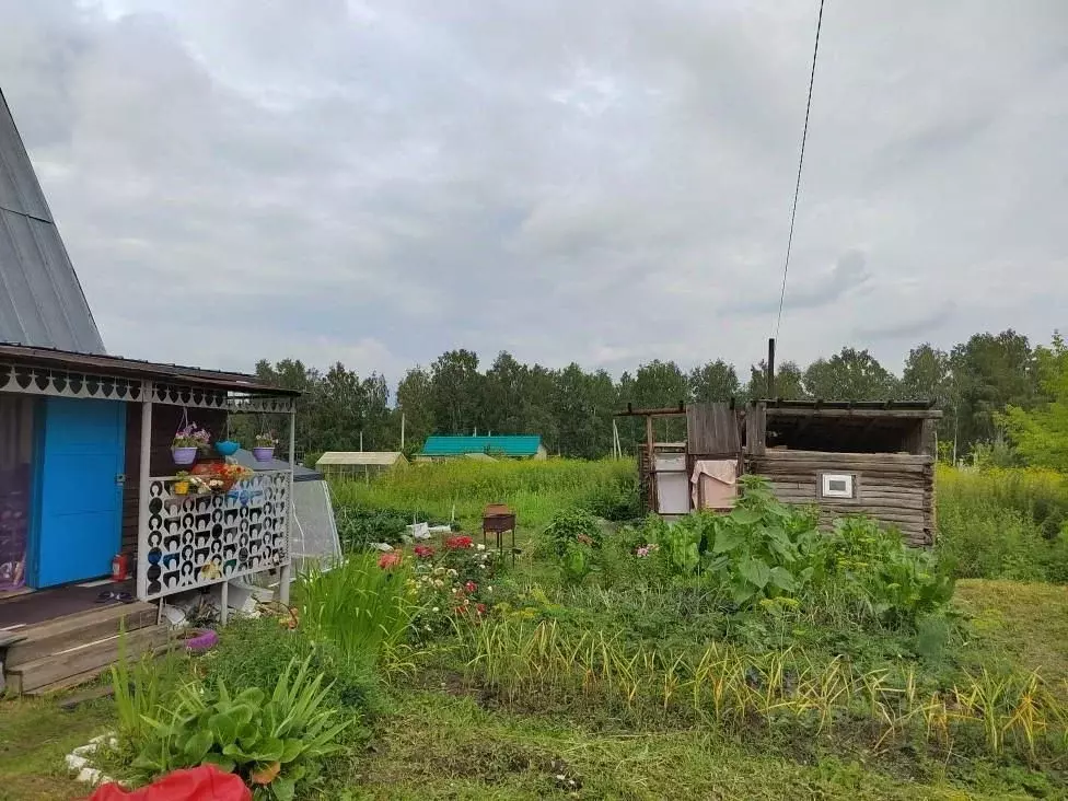 Дом в Новосибирская область, Новосибирский район, Кубовинский ... - Фото 1