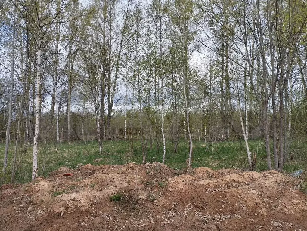 Участок 6 сот. (ИЖС) - Фото 1