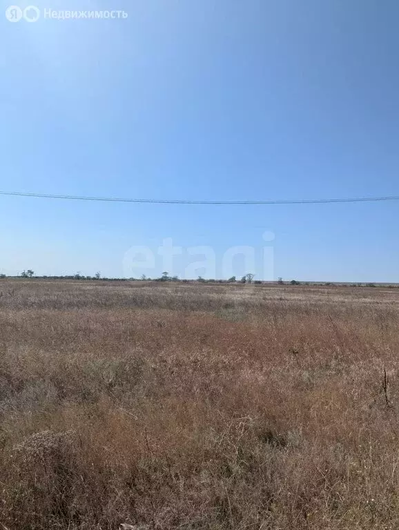Участок в Черноморский район, Межводненское сельское поселение, село ... - Фото 1