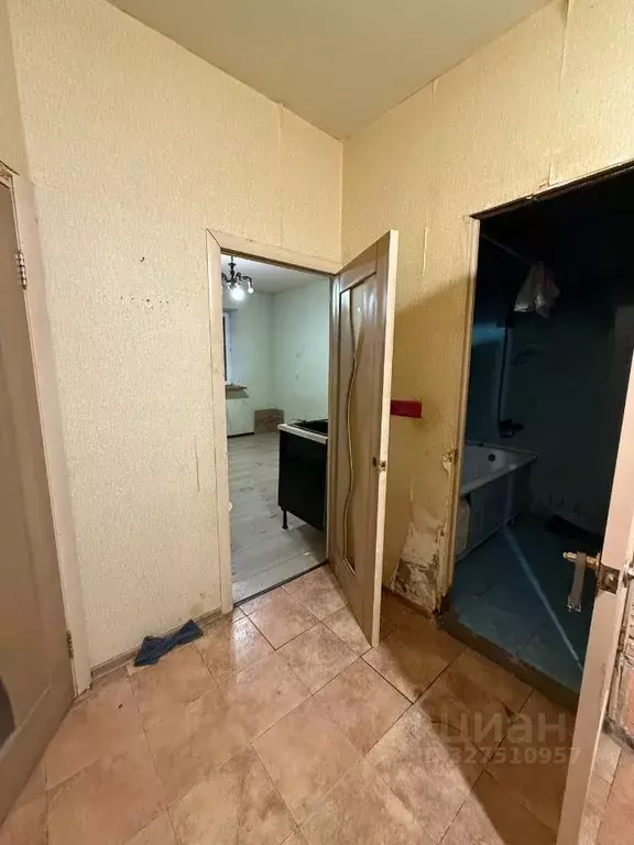 1-к кв. Московская область, Лосино-Петровский городской округ, ... - Фото 2