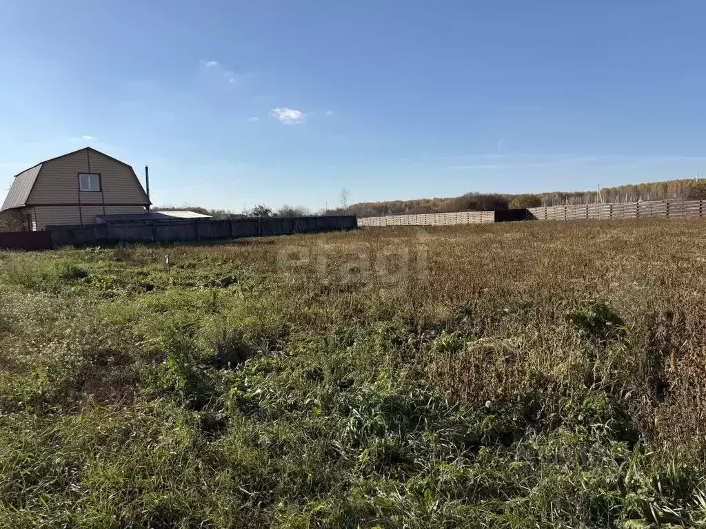 Участок в Свердловская область, Тугулымский муниципальный округ, с. ... - Фото 1