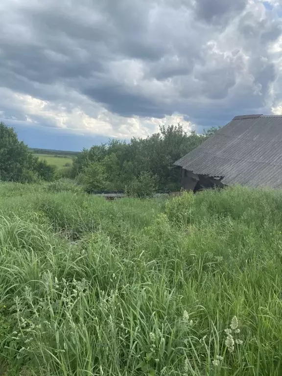 Участок в Рязанская область, Касимовский муниципальный округ, ... - Фото 0