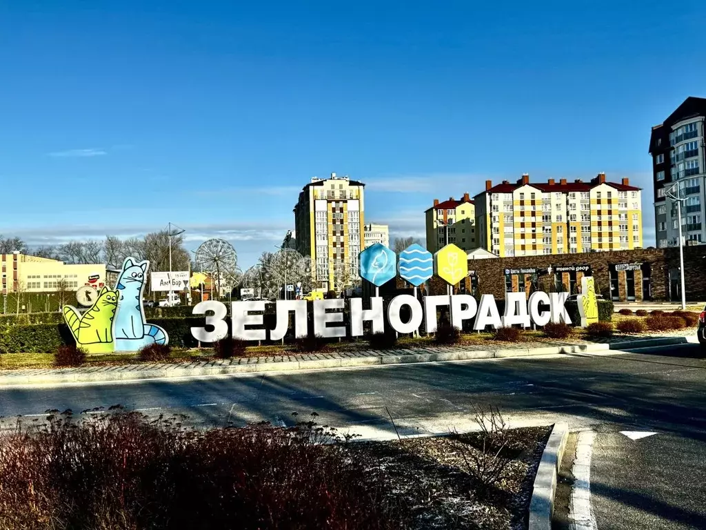 Участок в Калининградская область, Зеленоградск пос. Вишневое, ул. ... - Фото 1