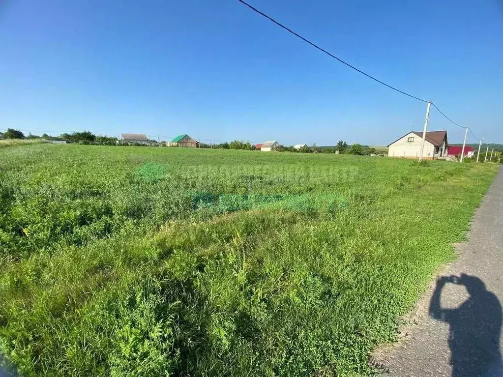 Участок в Белгородская область, Прохоровский район, с. Беленихино ул. ... - Фото 1