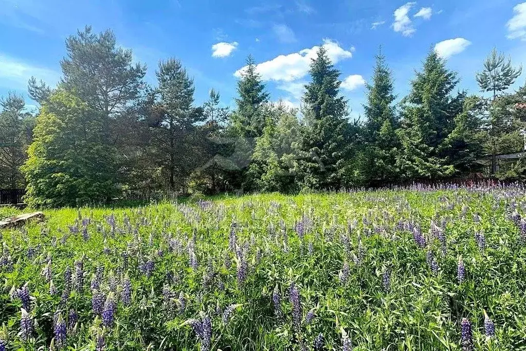 Участок в Московская область, Наро-Фоминский городской округ, д. ... - Фото 1