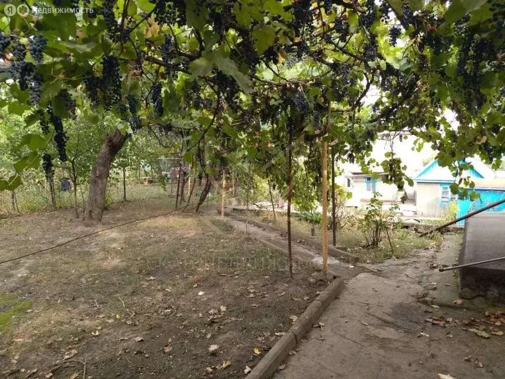 Дом в посёлок Горячеводский, Домбайская улица, 19 (90 м) - Фото 1