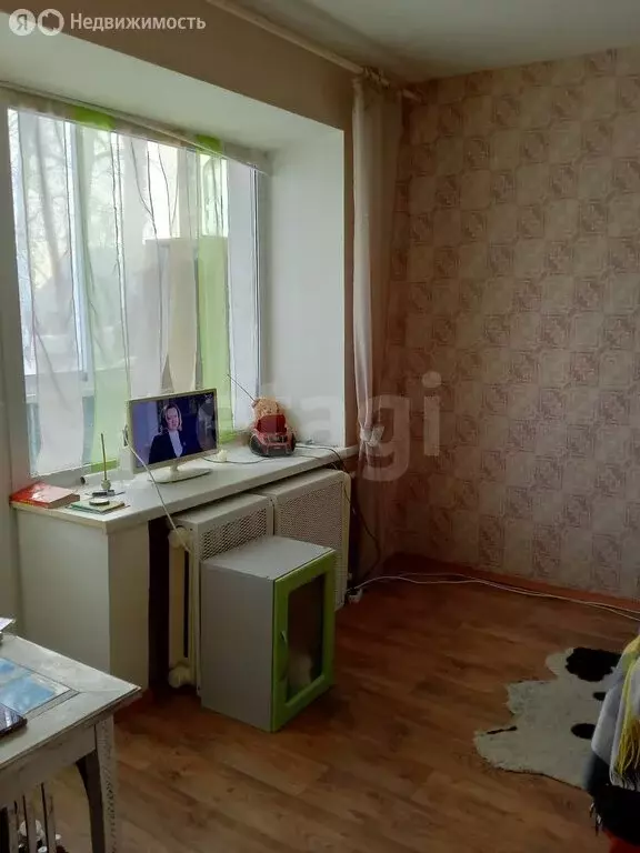 1-комнатная квартира: Пермь, улица Трясолобова, 102 (30.1 м) - Фото 1