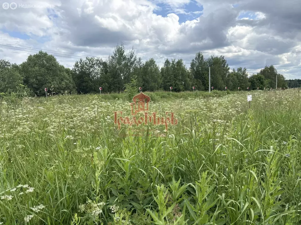 Участок в Сергиево-Посадский городской округ, деревня Уголки (8.32 м) - Фото 0