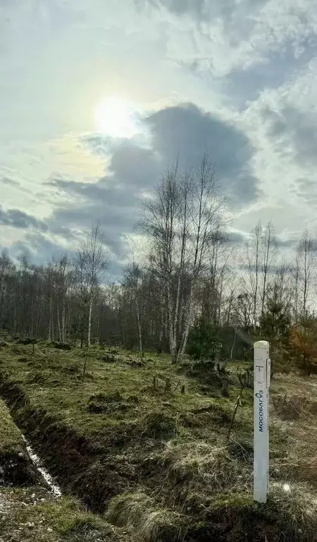 Участок в Московская область, Ступино городской округ, Шелково Ривер ... - Фото 2