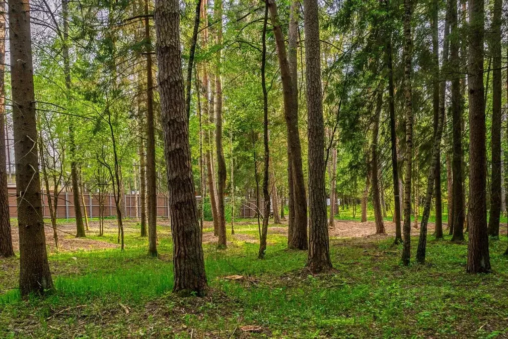 Участок в Московская область, Одинцовский городской округ, пос. ... - Фото 0