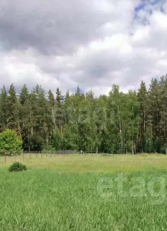 Участок в Липецкая область, пос. Добринка ул. Новая (14.0 сот.) - Фото 2